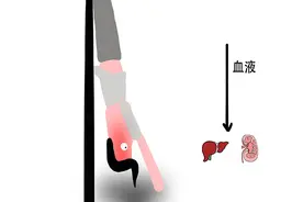 坚持练倒立，身体至少3处受益，男子练了3个月，结果令人羡慕图片