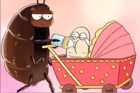 你敢挑战一杯蟑螂奶吗？图片