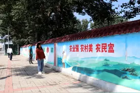【创城进行时】玉泉区达赖庄村：别样文化宣传墙 扮靓美丽乡村图片