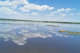 不要让自己闲下来图片