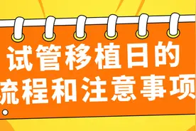 试管移植日的流程和注意事项图片