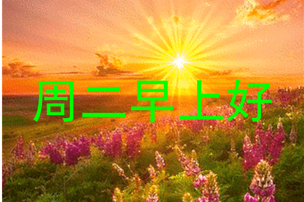 「2022.05.10」早安心语,正能量最美语录分享 早上好励志暖心短句
