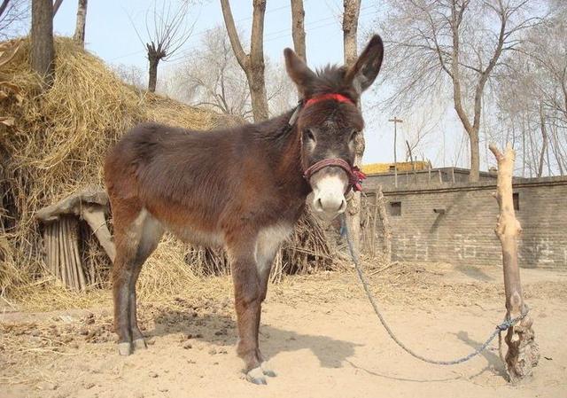 医生提醒：这4种保健品，不仅坑钱而且作用不大！请谨慎购买