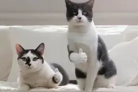 ​花7.9万做了“入职培训”，我连公司大门在哪都不知道图片