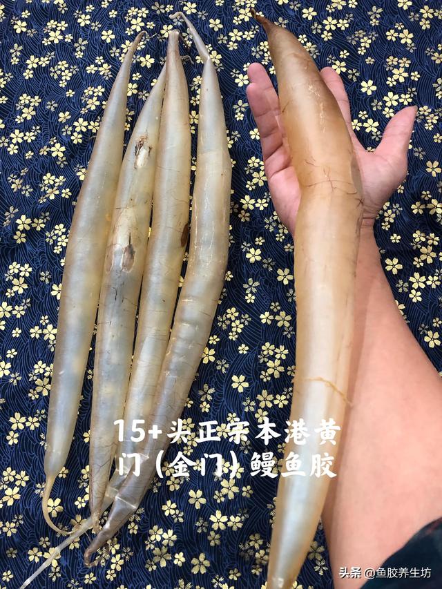 黄门鳝胶与花胶的区别 黄门鳝胶与花胶的区别在哪