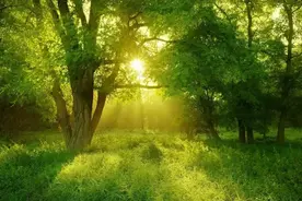 祝长辈生日快乐，老人生日祝福语60条句子大全图片