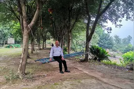 北碚城郊农业生态园，环境清幽耍事挺多，清凉一夏溜娃好地方图片