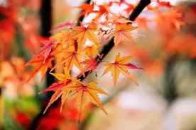 渐渐老去的70后，后半生最好的活法图片