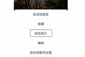手机相册里这些照片不能存图片
