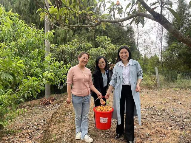 四川省民生研究会新媒体中心-官网