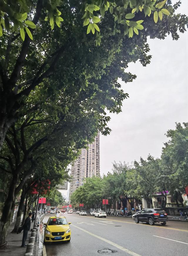 文章图片2