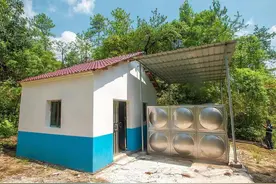 在农村空置房养殖黄鳝，年收入几十万？是真是假，我用实验来证明图片