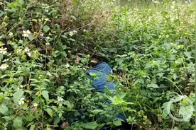 深圳一男子“隐居”闹市荒草丛：20多年没回家，如今野草比人高图片