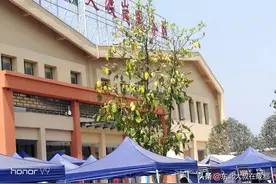 大叔穷游记「第22篇：西双版纳，我来了」图片