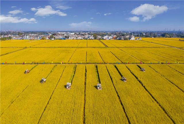 չѶ | ����ʱ���������ս�������������������������ա���Ӱ��չ��Ļ