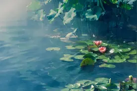 夏日最美：​风，满座凉；莲，入梦香图片