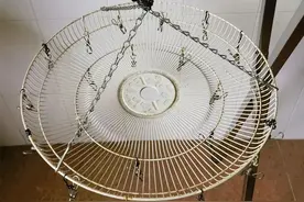 家里这8件“垃圾”用完别扔，简单改造一下，不花钱就能起大作用图片