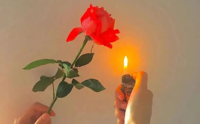Ȧ޺ܸߵİ