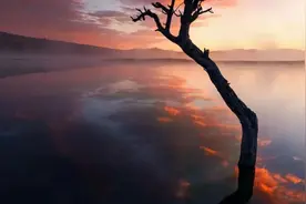 众里寻她千百度，蓦然回首，那歌却在灯火阑珊处图片