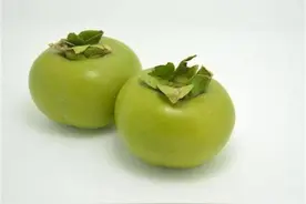 青柿子怎么处理才能吃？有5种方法，学会了分享给家人图片