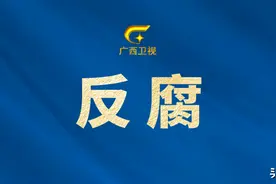 广西玉林市委书记莫桦接受审查调查图片