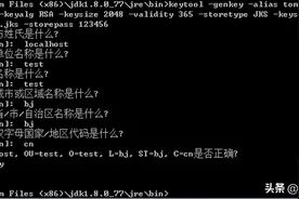 tomcat制作https证书图片