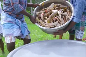 印度鲨鱼大餐，上百只小鲨鱼被做成美味，认为比中国美食好吃图片