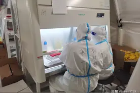 援沪日记：“湘”“沪”携手 上海必胜图片