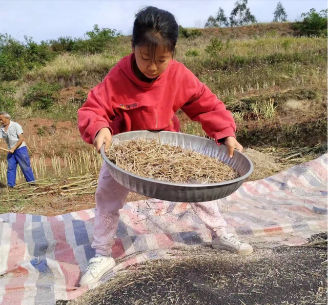 四川省民生研究会新媒体中心-官网