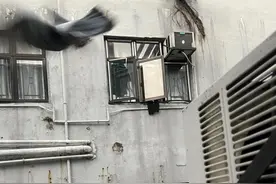 香港重庆大厦你敢住吗？图片