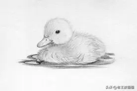 零基础素描教程，教你画一只小鸭子图片