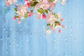 在梅雨季节需警惕霉菌过敏图片