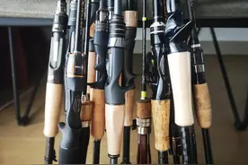 路亚新手常规装备搭配技巧图片