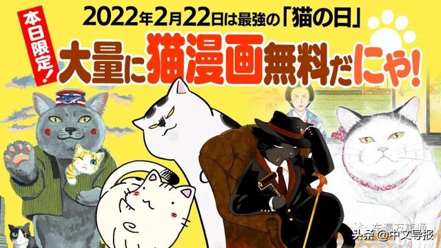 20220222:今天是百年难得一见的超级猫咪日