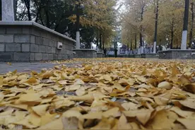 山西警察学院多少分可以报考公安类专业图片