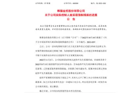 怎么回事？ST熊猫实控人赵伟平家属称其被批捕，但未见到也未签署相关法律文书图片