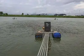 老龄化严重，水产养殖业为什么越来越难招到年轻人图片