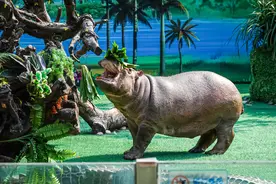 2021主题公园竞争力评价——广州长隆欢乐世界图片