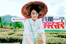 德媒：德国可从中国农业学到什么，一大趋势让欧洲农民特别羡慕图片