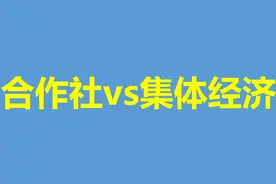 一表看懂合作社、集体企业与村集体经济组织图片