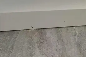 闹心！女子网购实木家具  4个多月生虫啦图片