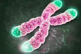 神的禁令？人类20号染色体上的PRNP基因，在阻止人类做什么？图片