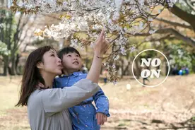 我不想勉强结婚，只想要孩子 | 正午书架图片