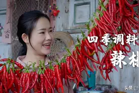 「文章」四季调料（十一）一年收一次辣椒，吃一年的火热幸福图片