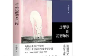 《房思琪的初恋乐园》图片