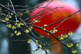 今日雨水—好雨知时节图片