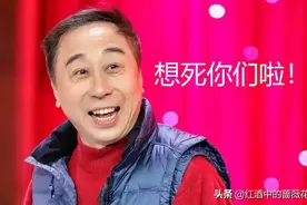 铁打的冯巩，流水的春晚搭档图片