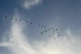 杜甫在甘肃图片