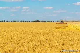 俄罗斯远东地区欢迎中国人去投资种地，俄方很优惠，你愿意去吗？图片