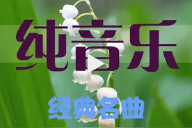 「美音-03」纯音乐金曲《春光美》天籁之音，建议收藏图片